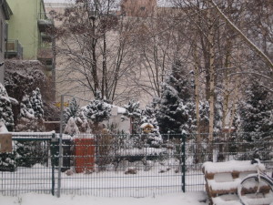 Schnee im Januar 2016